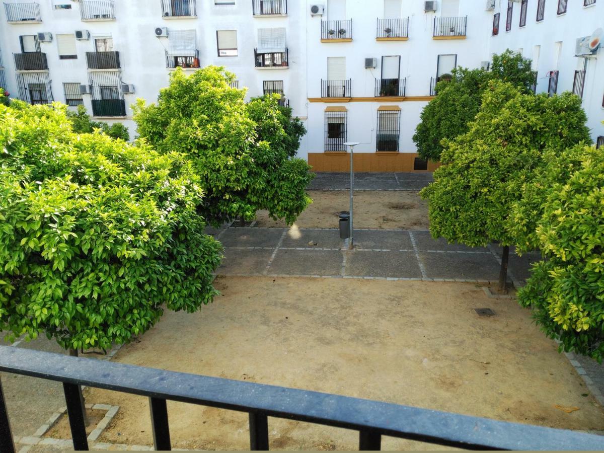 Apartamento Plaza Compania Jerez Херес-де-ла-Фронтера Экстерьер фото