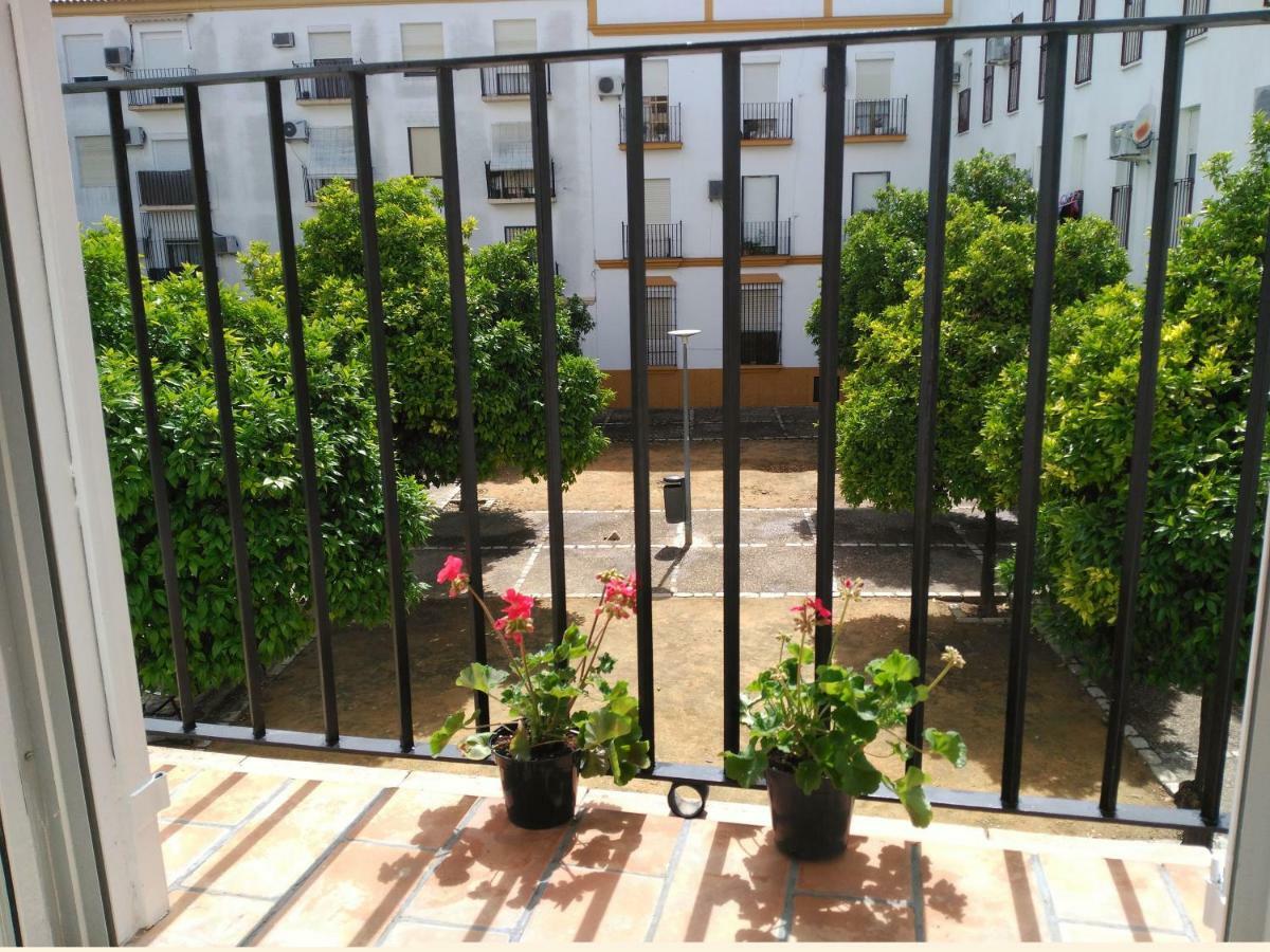 Apartamento Plaza Compania Jerez Херес-де-ла-Фронтера Экстерьер фото